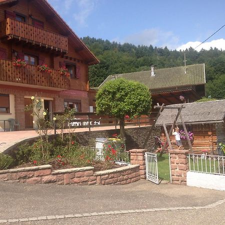 Gites Les Pins Et Les Bruyeres Wangenbourg-Engenthal Ngoại thất bức ảnh
