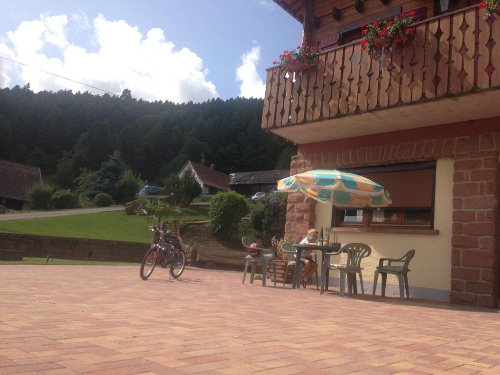Gites Les Pins Et Les Bruyeres Wangenbourg-Engenthal Ngoại thất bức ảnh