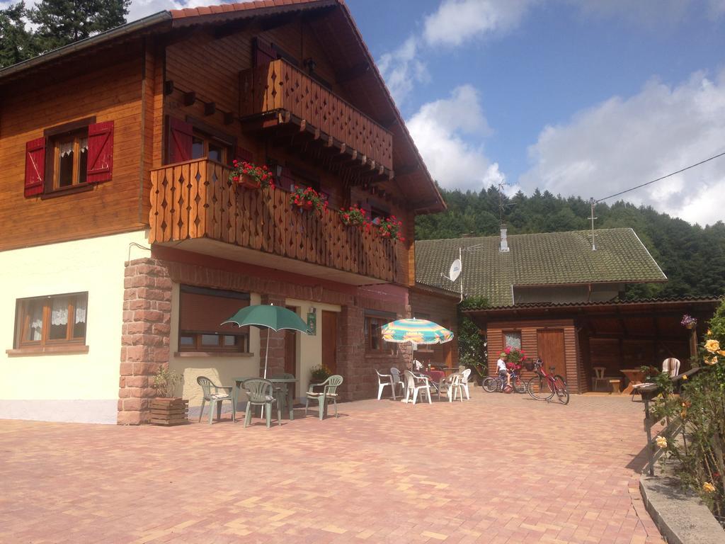 Gites Les Pins Et Les Bruyeres Wangenbourg-Engenthal Ngoại thất bức ảnh